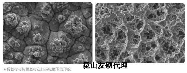 保山蔡司保山扫描电镜